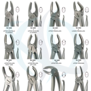 Extraction Forceps, English Pattern
